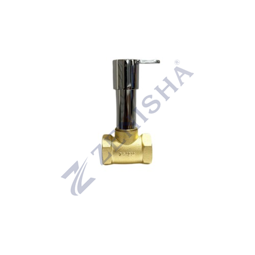 Flush Valve With Flange